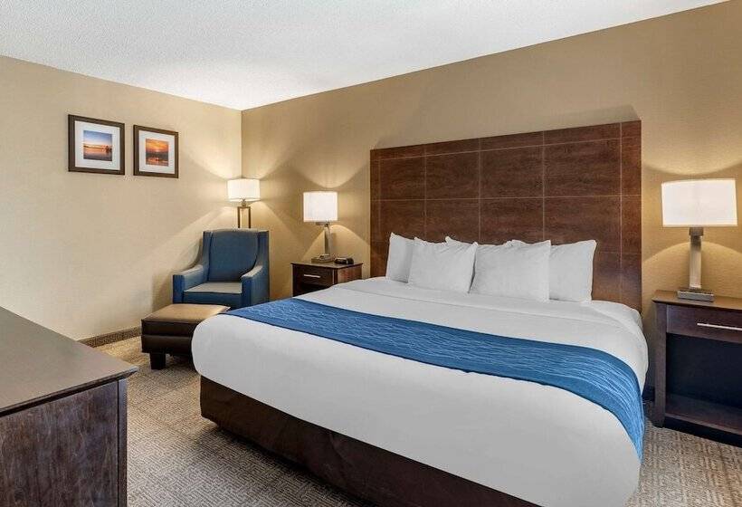 ホテル Comfort Inn & Suites Bryant Benton
