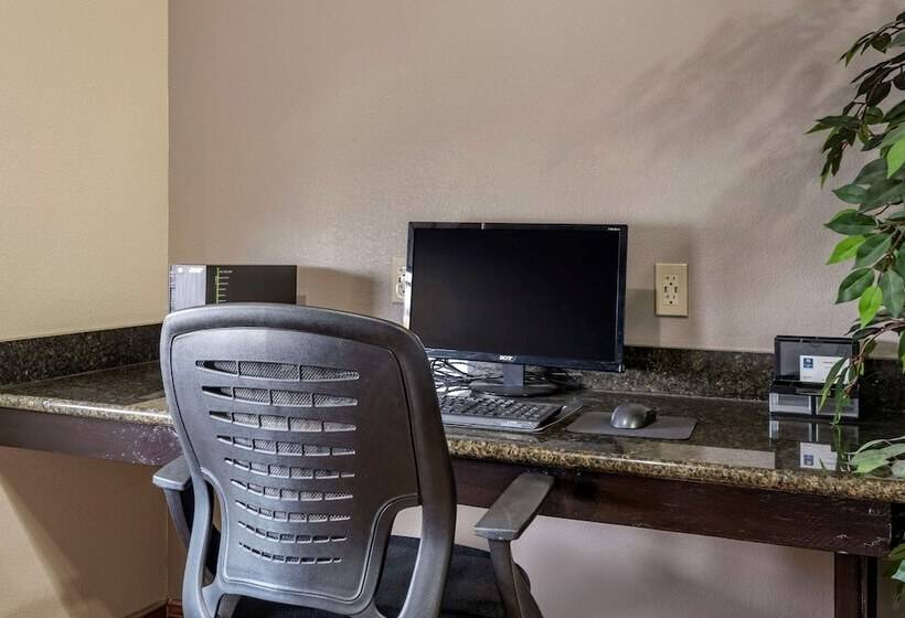 فندق Comfort Inn & Suites