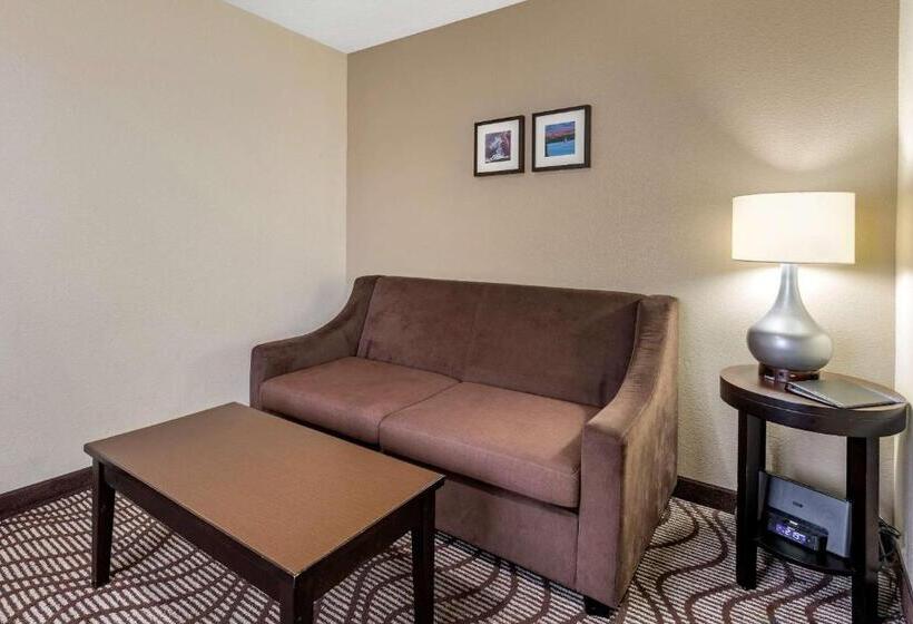 فندق Comfort Inn & Suites