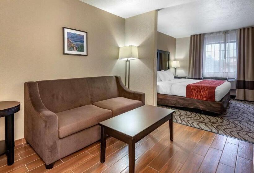호텔 Comfort Inn & Suites