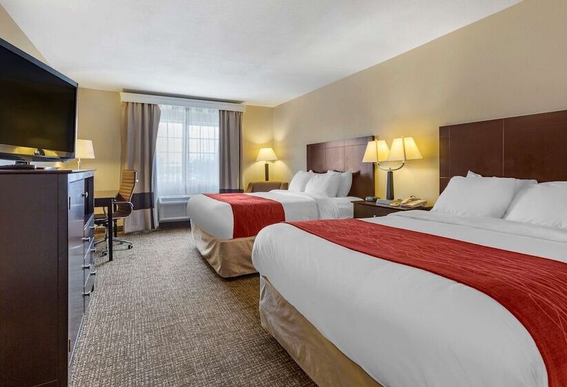 בית מלון כפרי Comfort Inn & Suites North Tucson Marana