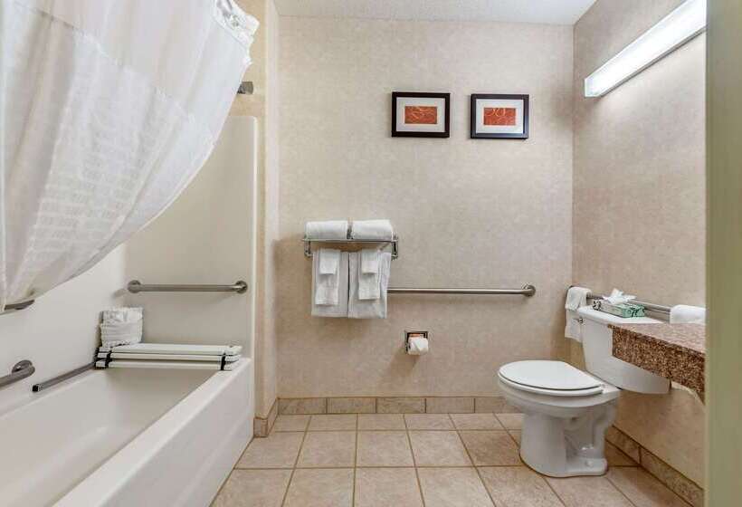 فندق Comfort Suites