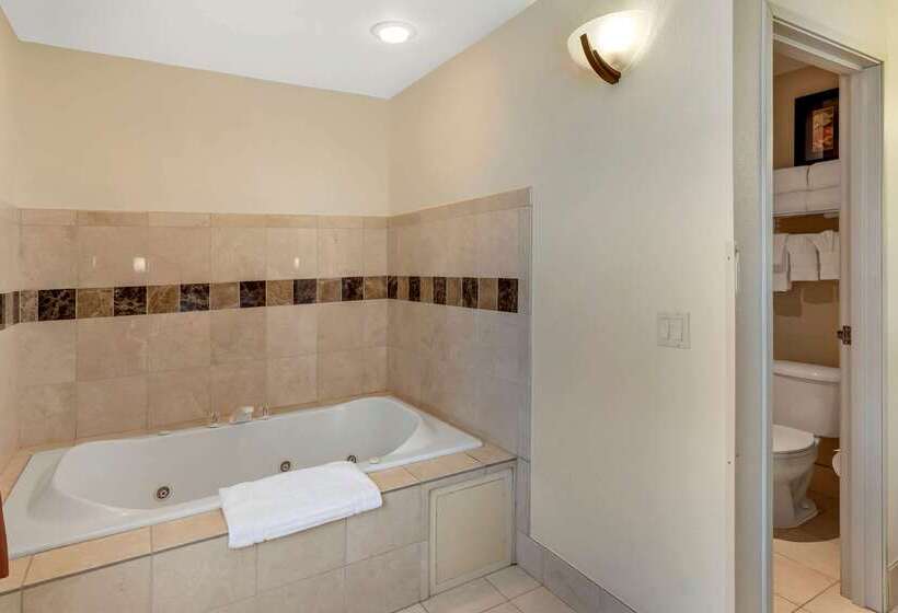 בית מלון כפרי Comfort Suites Denver Tech Center