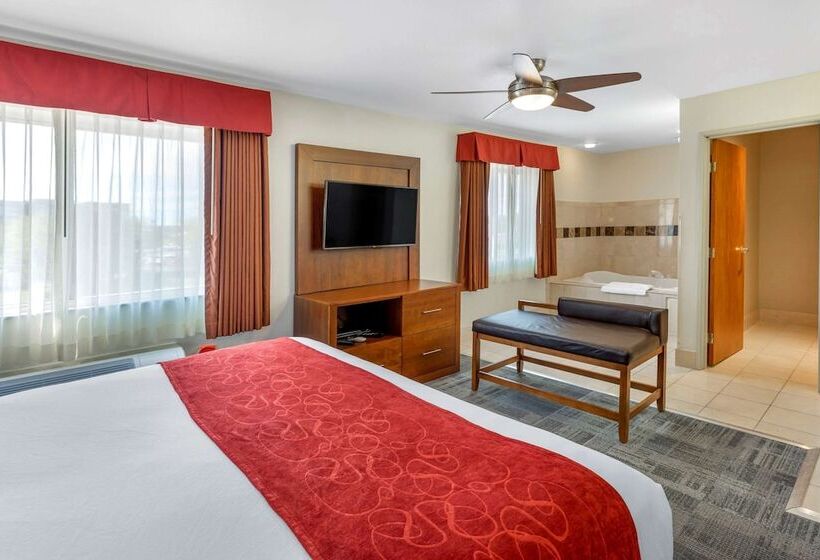 בית מלון כפרי Comfort Suites Denver Tech Center