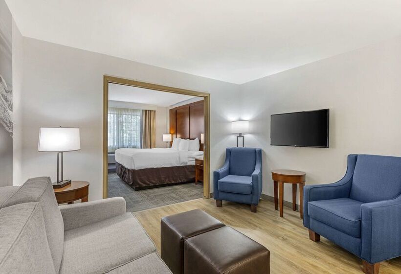酒店 Comfort Suites Golden West On Evergreen Parkway
