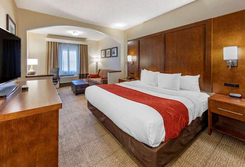 酒店 Comfort Suites Near Six Flags Magic Mountain