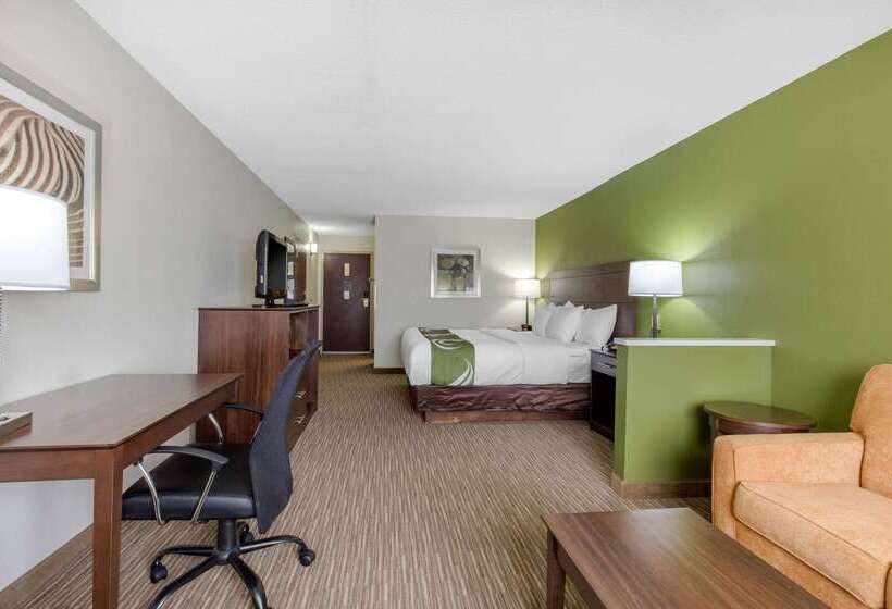 ホテル Quality Inn & Suites Mountain Home North