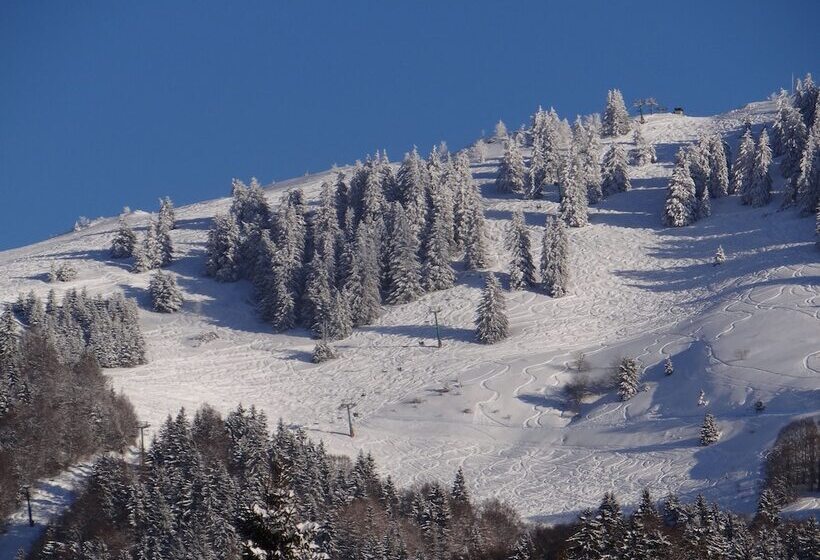 酒店 Aux Touristes Hôtel Restaurant