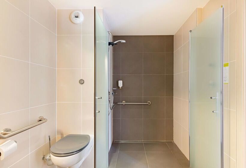 בית מלון כפרי Best Western Hôtel Des Barolles   Lyon Sud