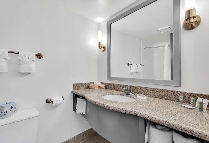 Fotos del hotel Best Western Orlando Gateway:  51