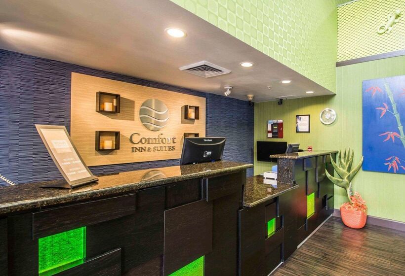 Hôtel Comfort Inn And Suites Lantana  West Palm Beach South