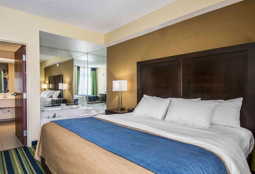 Hotel Comfort Inn And Suites Lantana  West Palm Beach South