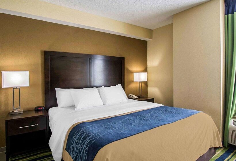 호텔 Comfort Inn And Suites Lantana  West Palm Beach South