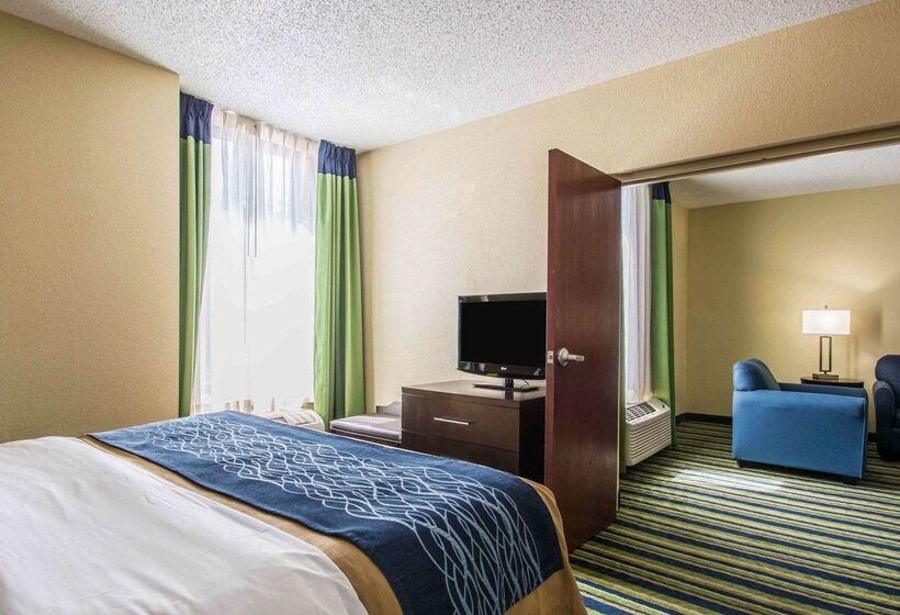 호텔 Comfort Inn And Suites Lantana  West Palm Beach South