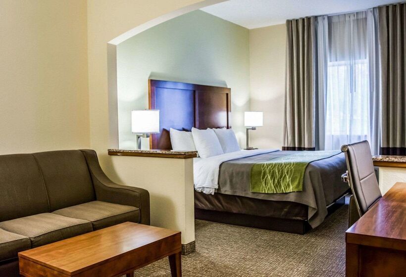 فندق Comfort Inn Fort Myers Northeast