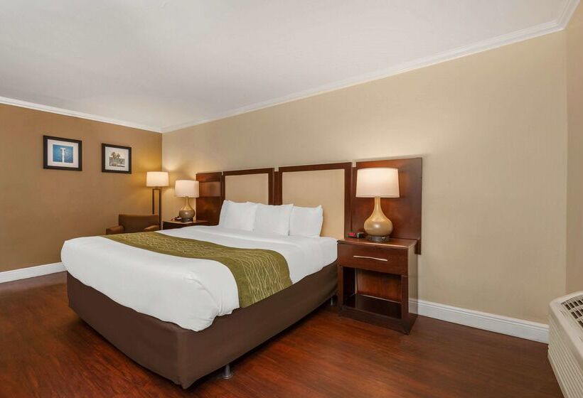 فندق Comfort Inn Oceanside Deerfield Beach