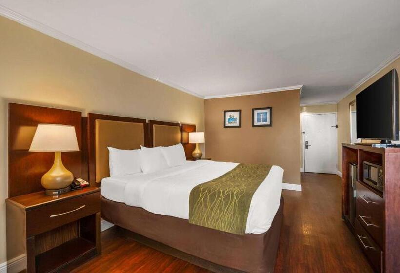فندق Comfort Inn Oceanside Deerfield Beach