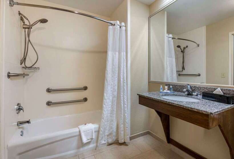 בית מלון כפרי Comfort Inn & Suites Deland  Near University
