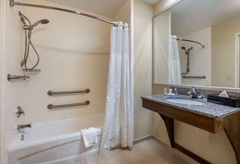 ホテル Comfort Inn & Suites Deland  Near University