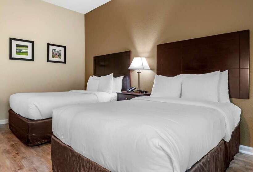 בית מלון כפרי Comfort Inn & Suites Deland  Near University