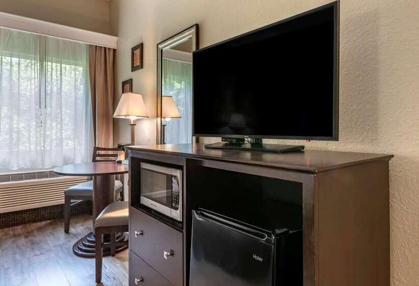 בית מלון כפרי Comfort Inn & Suites Deland  Near University
