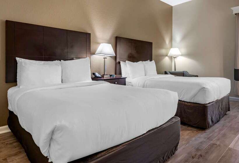בית מלון כפרי Comfort Inn & Suites Deland  Near University