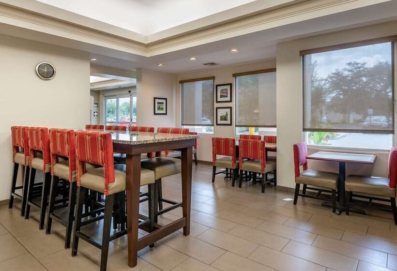 בית מלון כפרי Comfort Inn & Suites Deland  Near University