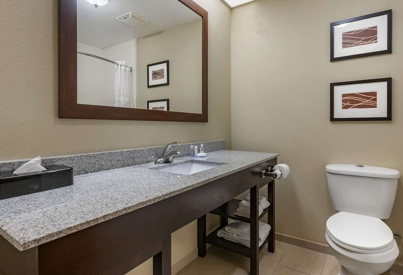 בית מלון כפרי Comfort Inn & Suites Deland  Near University