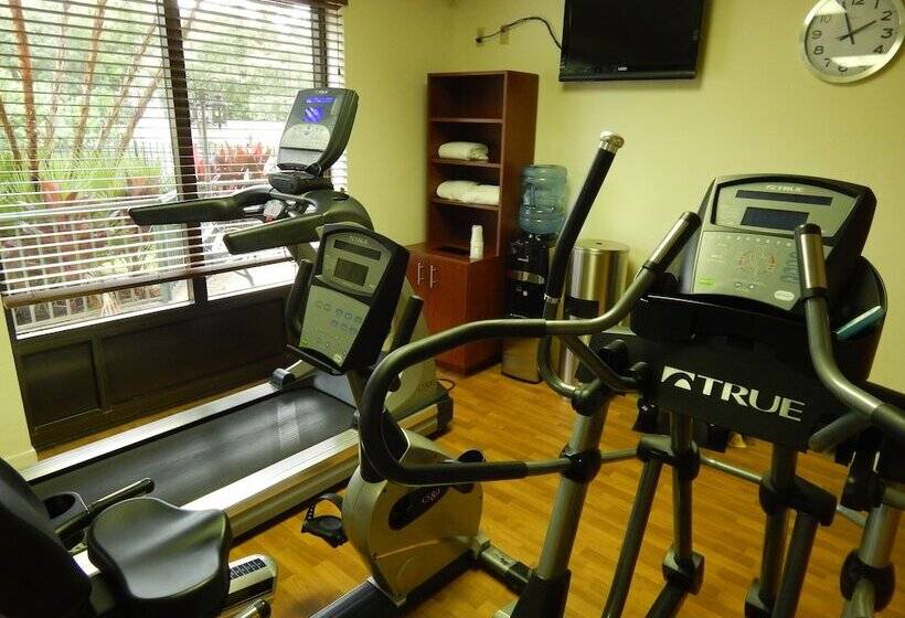 فندق Comfort Suites Tampa  Brandon