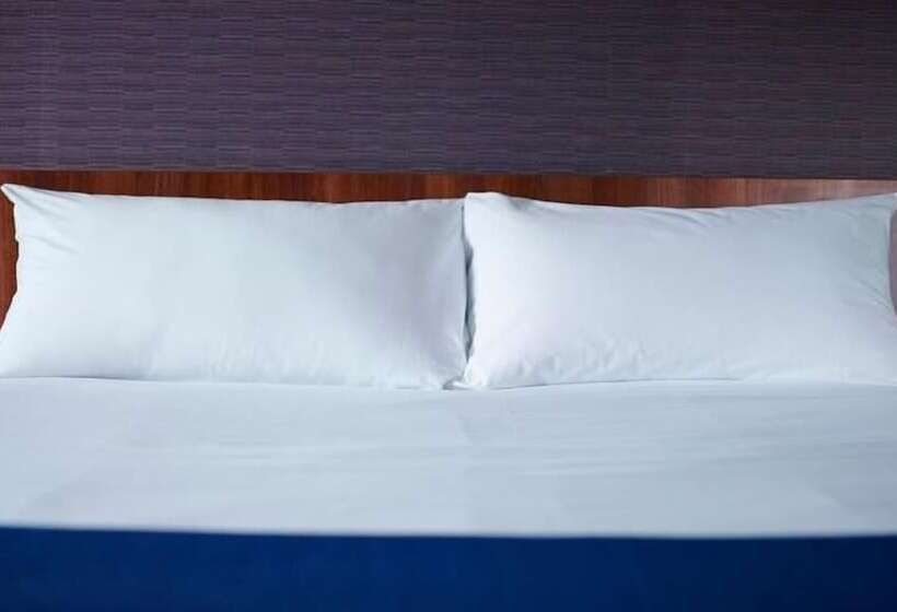 Fotos del hotel Holiday Inn Express Rome  East:  7