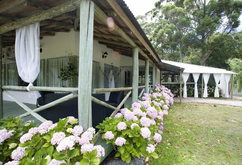 Fotos del hotel Solanas Punta Del Este Spa & Resort:  25