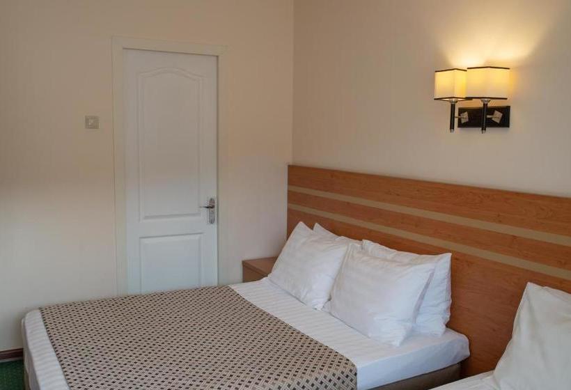 בית מלון כפרי Chayka