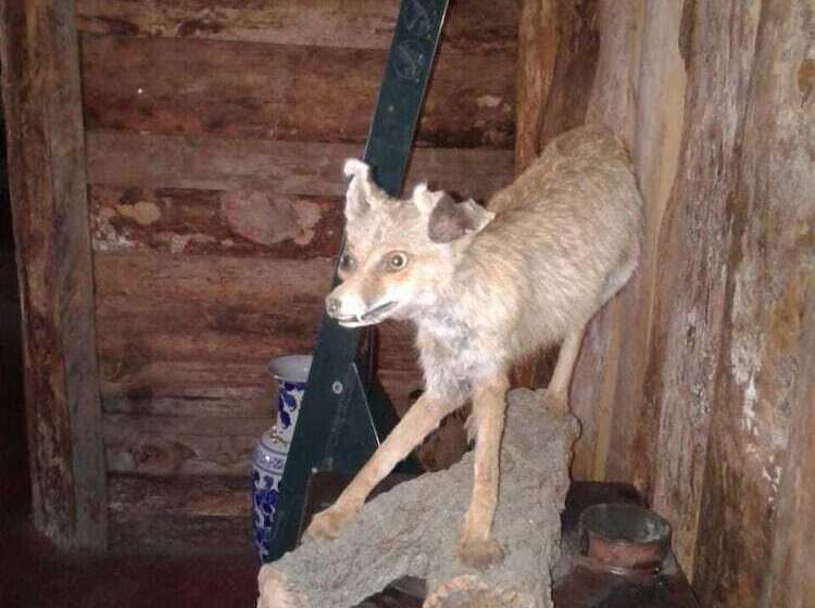 بنسيون Auberge La Forestiere