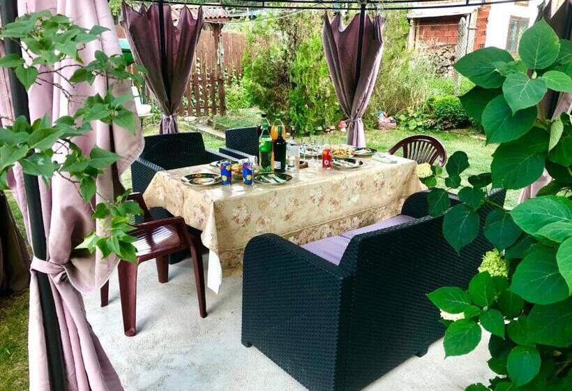 פנסיון Guest House Niya