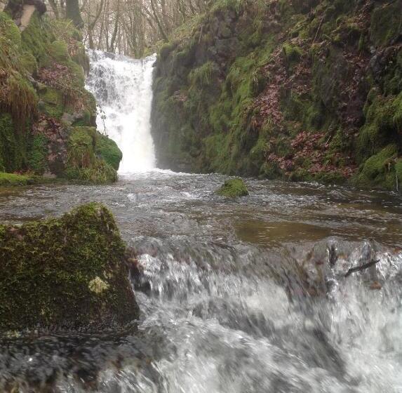 Logis Hotel Restaurant Des Voyageurs