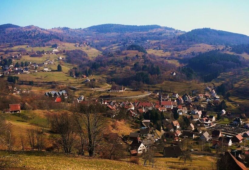酒店 Résidence Soansa Du Gérardmer   Col De La Schlucht