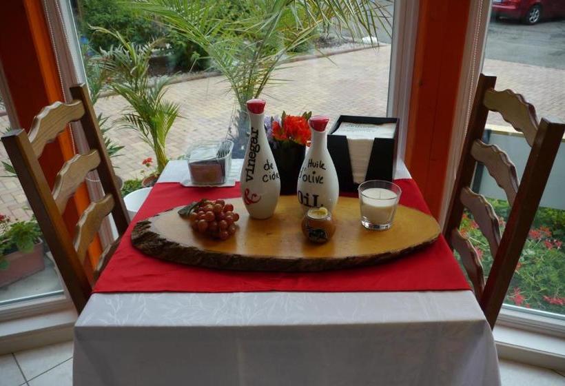 酒店 Hôtel Sud Alsace