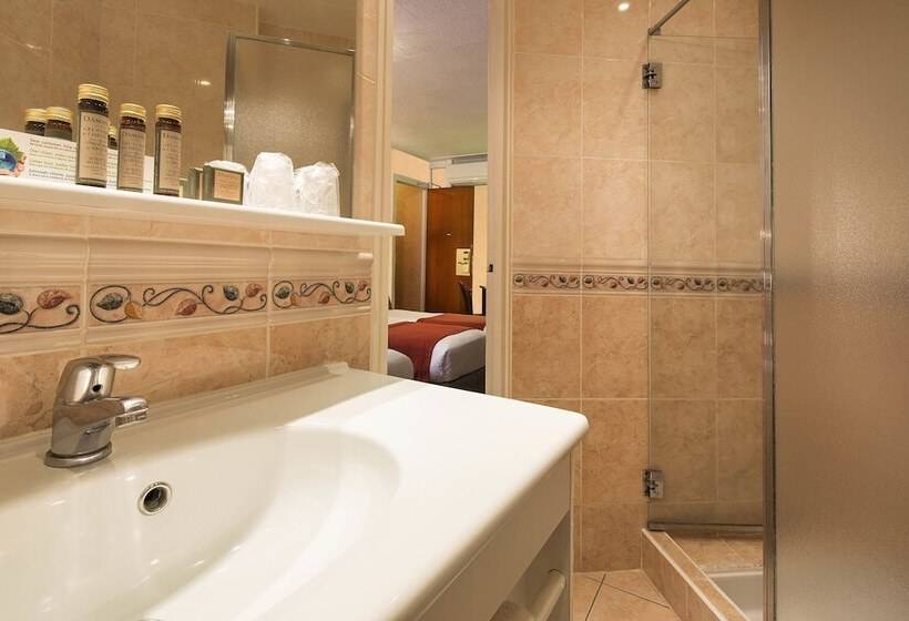 Fotos del hotel Terminus Lyon:  15