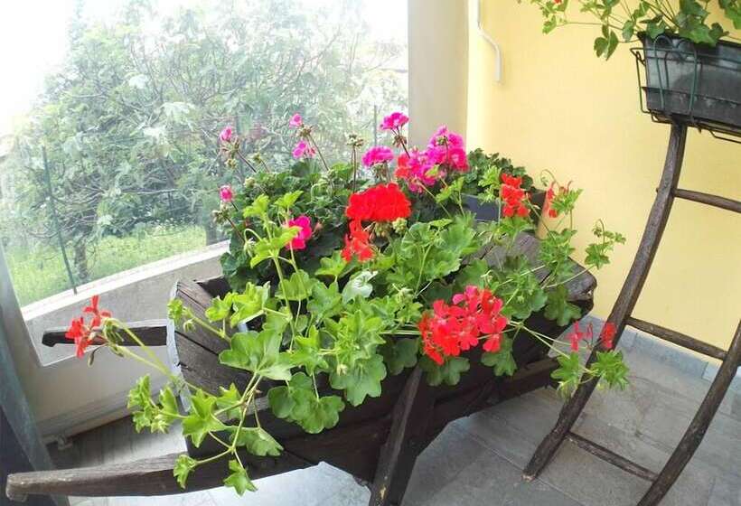 B&b Guglielmina