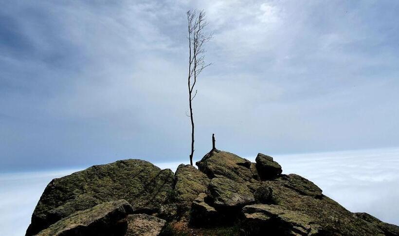 تختخواب و صبحانه L Americano Luxury Rooms