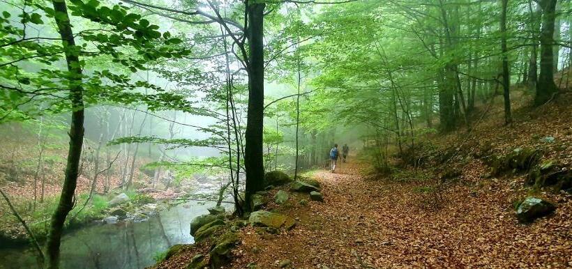 تختخواب و صبحانه L Americano Luxury Rooms