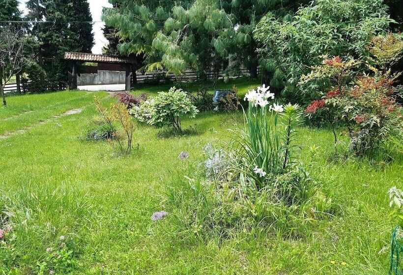 Cozy Detached House, Wide Garden, Wifi