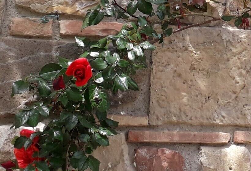 هتل روستایی Agriturismo Alle Rose