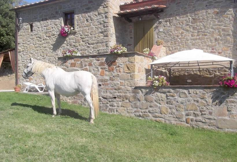هتل روستایی Agriturismo La Coccinella