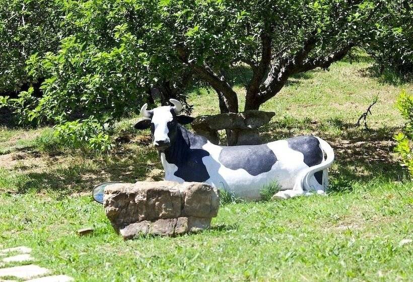 فندق ريفى Villino Il Corbezzolo A Casa Conti Di Sotto