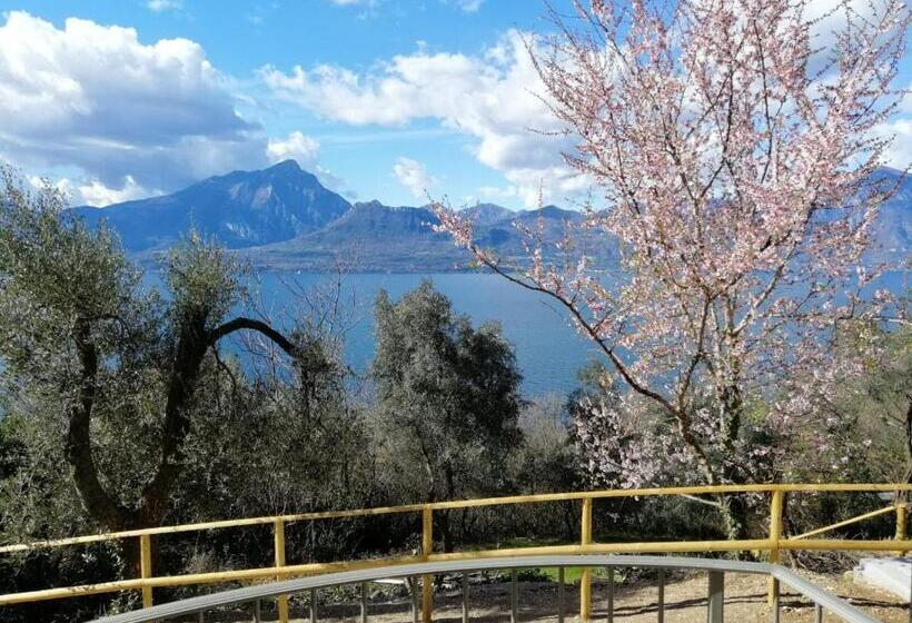 Agriturismo Le Anze