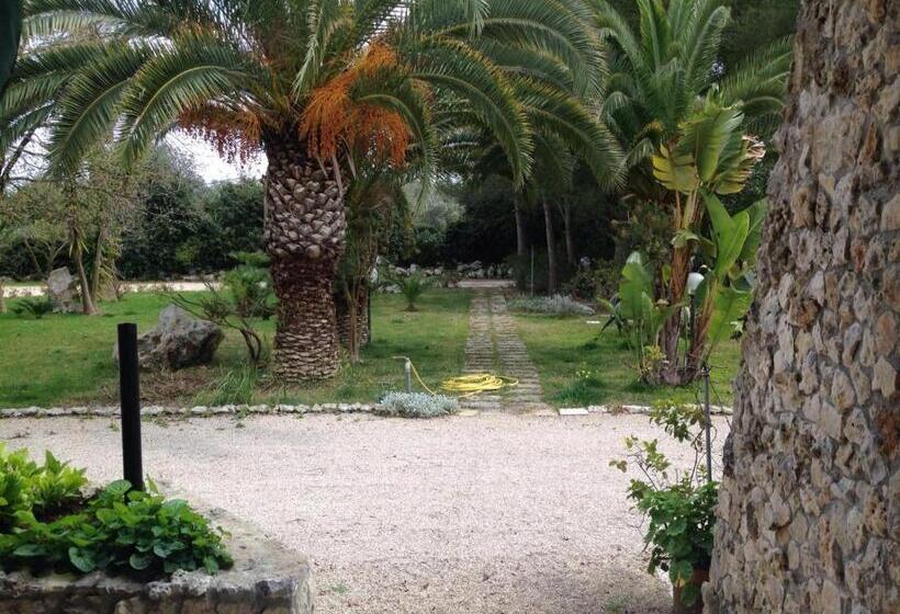 تختخواب و صبحانه La Macchia