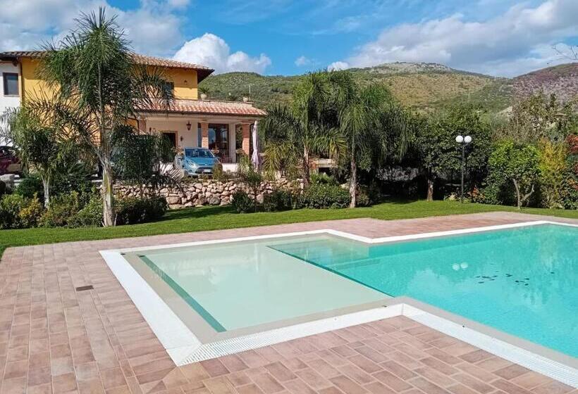 B&b Sykelgrima