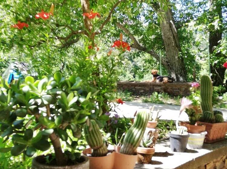 Agrifoglio B&b Con Giardino