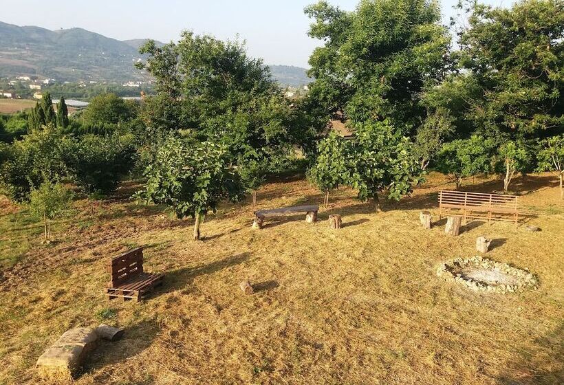 ベッドアンドブレックファースト L Arcadia